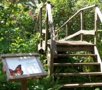 Inkaterra Amazonica Butterfly House